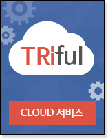 Triful Cloud 서비스
